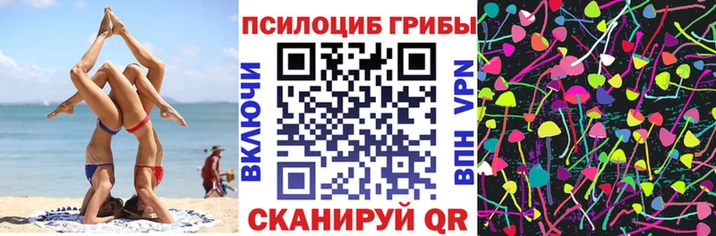 Галлюциногенные грибы GOLDEN TEACHER  Купить где  Ильский 